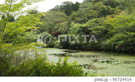 神戸六甲山にある森の音ミュージアムの風景　池のある景色 95724414