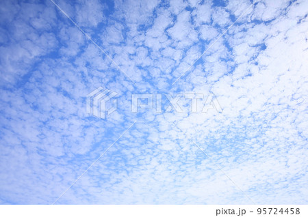 秋の青空に浮かぶうろこ雲 秋の青空に浮かぶうろこ雲 95724458