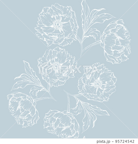 Hand drawn vector seamless pattern with peony flowers, buds and leaves. Isolated on white background. Design for invitations, wedding or greeting cards, wallpaper, print, textile, wrapping paper 95724542