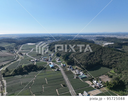 静岡県袋井市の茶畑を空撮した景色：秋 95725088