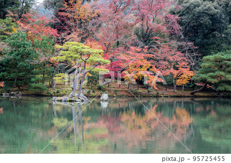 The landscape garden autumn in kyoto at japan 95725455