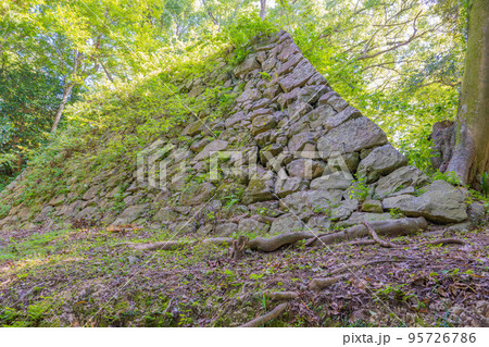 宇和島城 95726786