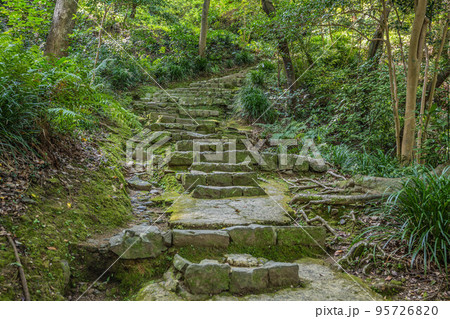 宇和島城 95726820