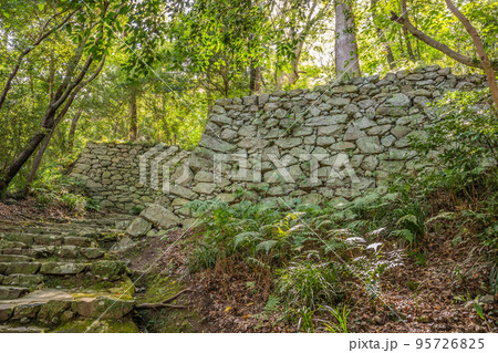 宇和島城 95726825