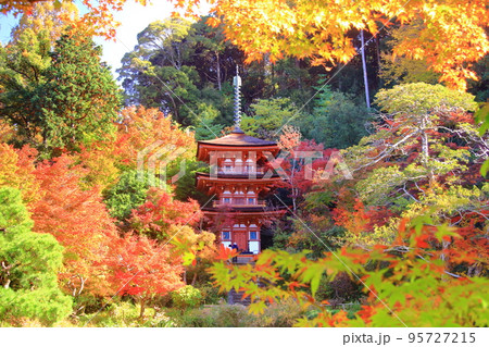 浄瑠璃寺　三重塔（京都府木津川市）周辺の紅葉 95727215