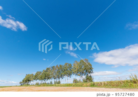 北海道　美瑛の風景 95727480