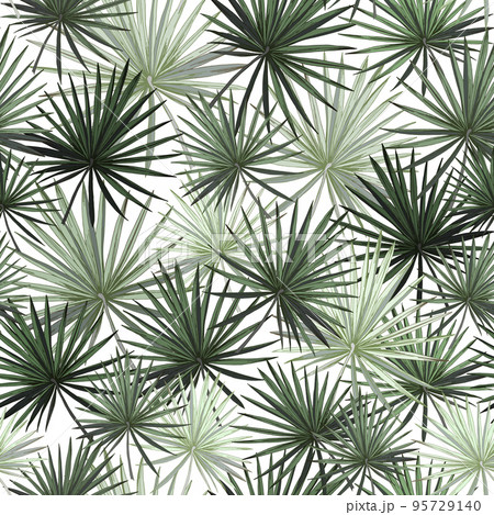Seamless pattern green leaves of palm trees on a white background. stock illustration. popular trend drawing isolated on white background.canaple leaves print for fabric wallpaper textile design 95729140