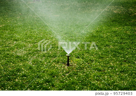 Automatic sprinkler system spread water spray in garden on lawn 95729403