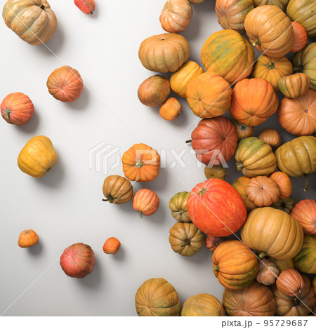 Autumn composition of orange pumpkins on white...のイラスト素材 [95729687] - PIXTA