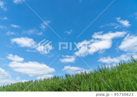 空、青空、雲、草原、背景素材、青い空、風景、晴れ、コピースペース、背景、バックグラウンド、人物無し、 95730623