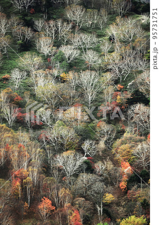 日光の旅 絵画の様な山の紅葉の風景 日光の旅 絵画の様な山の紅葉の風景 95731751