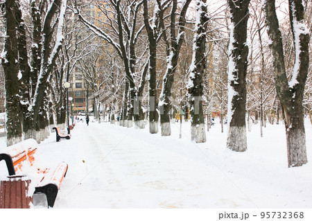 A road goes into a distance in snowy winter park at freezing cold day without people. Walking path in city park with bare branched trees. A wooden benches covered with snow. A place for walks outdoors A road goes into a distance in snowy winter park at freezing cold day without people. Walking path in city park with bare branched trees. A wooden benches covered with snow. A place for walks outdoors 95732368