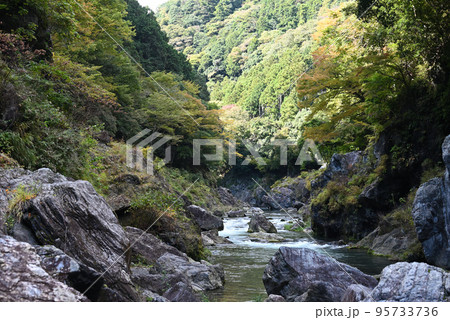 紅葉に染まる渓流 95733736