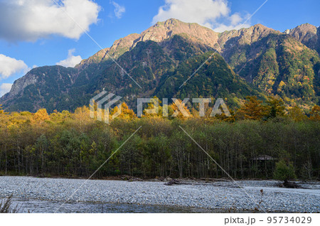 カラマツの黄葉と六百山 95734029