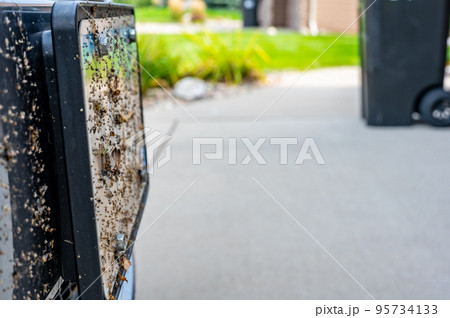 Selective focus on dead bugs splattered to the front grill and plates of a vehicle 95734133