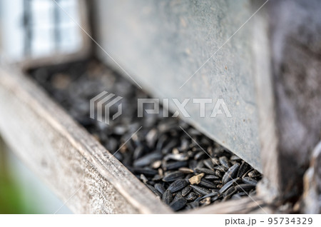 Filling a wooden weathered bird feeder with sunflower seeds. Filling a wooden weathered bird feeder with sunflower seeds. 95734329