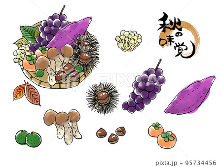 秋の味覚 セットのイラスト素材