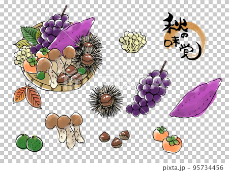 秋天的味道設置 95734456