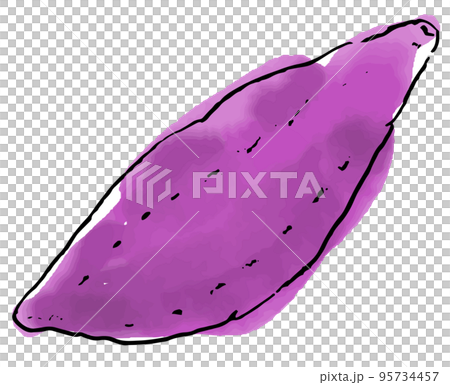 秋天紅薯的味道 秋天紅薯的味道 95734457