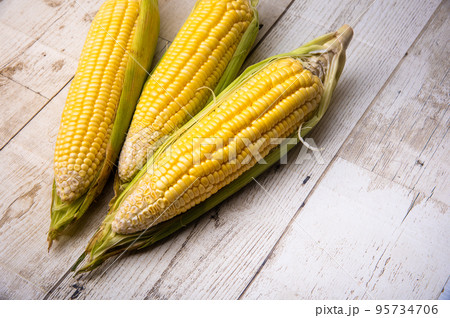 Corn on the wooden floor An ear of corn isolated on a white background Export products Processed Corn on the wooden floor An ear of corn isolated on a white background Export products Processed 95734706