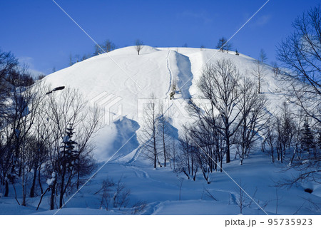 冬の雪山とシュプール 95735923