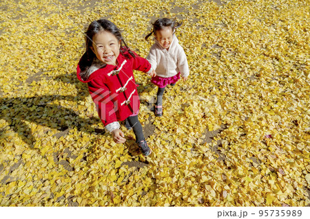 イチョウの落ち葉の上で遊ぶ姉妹 95735989