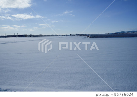 北海道　冬の田園風景 95736024