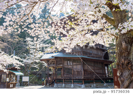 清々しい朝 桜と会津さざえ堂 福島県 清々しい朝 桜と会津さざえ堂 福島県 95736036