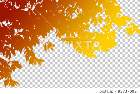 樹木下から見上げた枝葉のシルエット画像。グラデーション背景透明のイラスト 95737099