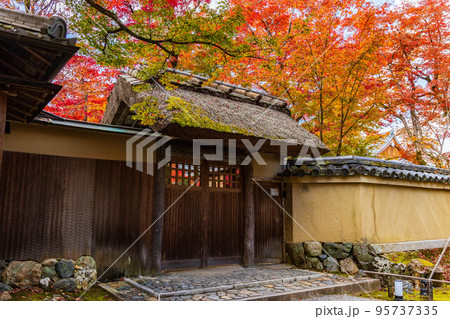京都嵯峨嵐山の秋　紅葉の宝厳院 95737335