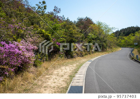 青空の香川県直島の海岸道路 95737403