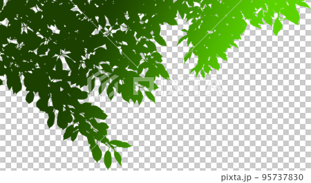 Silhouette image of branches and leaves looking up from under a tree. gradient background transparent illustration Silhouette image of branches and leaves looking up from under a tree. gradient background transparent illustration 95737830