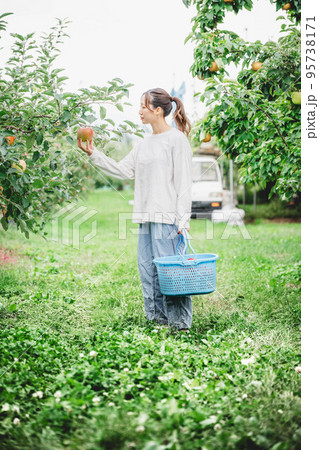 リンゴを収穫する女性 95738171
