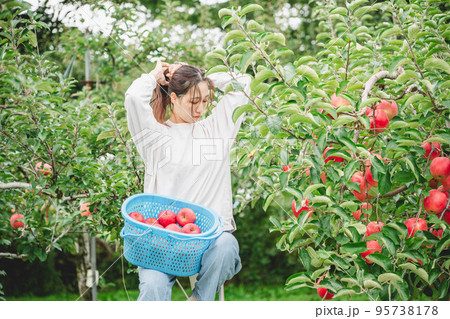 リンゴを収穫する女性 95738178