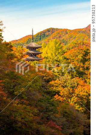 定義山の紅葉 定義山の紅葉 95738213