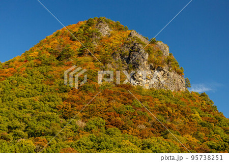 鎌倉山　ゴリラ岩 95738251