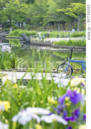 初夏の公園 水面に映る夏色イメージ 初夏の公園 水面に映る夏色イメージ 95739205
