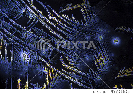 ハイドロキノン 95739639