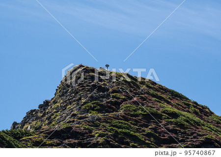 ニペソツ山 95740867