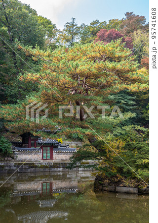 Changdeokgung royal palace of the Joseon dynasty in Autumn in Seoul South Korea 95741608