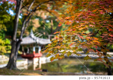 Changdeokgung royal palace of the Joseon dynasty in Autumn in Seoul South Korea 95741613