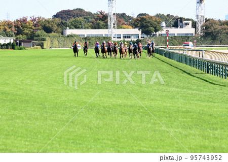 東京競馬場を疾走するサラたち 95743952