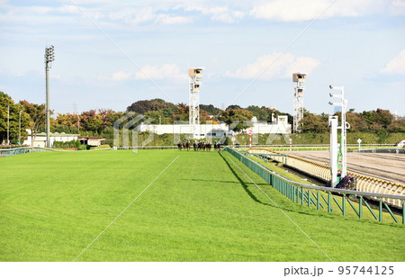 東京競馬場を疾走するサラたち 95744125