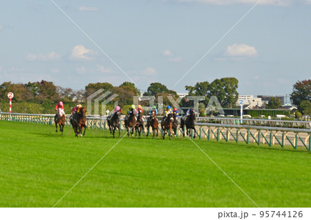 東京競馬場を疾走するサラたち 95744126