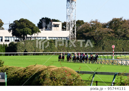 東京競馬場を疾走するサラたち 東京競馬場を疾走するサラたち 95744131