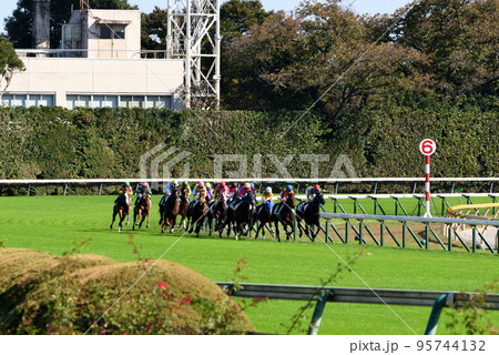東京競馬場を疾走するサラたち 東京競馬場を疾走するサラたち 95744132