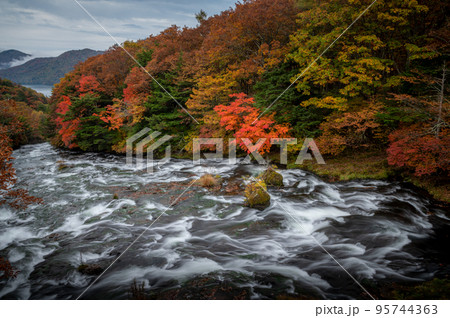 栃木県日光市 紅葉最盛期の竜頭の滝 栃木県日光市 紅葉最盛期の竜頭の滝 95744363