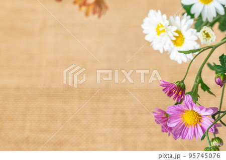 小菊と麻の布 小菊と麻の布 95745076