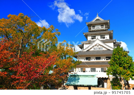 【愛媛県】快晴の今治城と紅葉 95745705