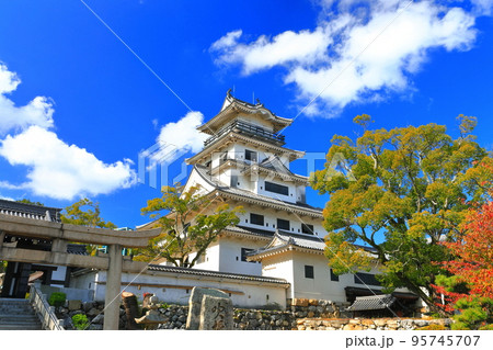【愛媛県】快晴の今治城と紅葉 【愛媛県】快晴の今治城と紅葉 95745707